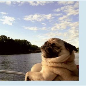 Meet your Posher, Peyton